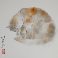38猫2.jpg